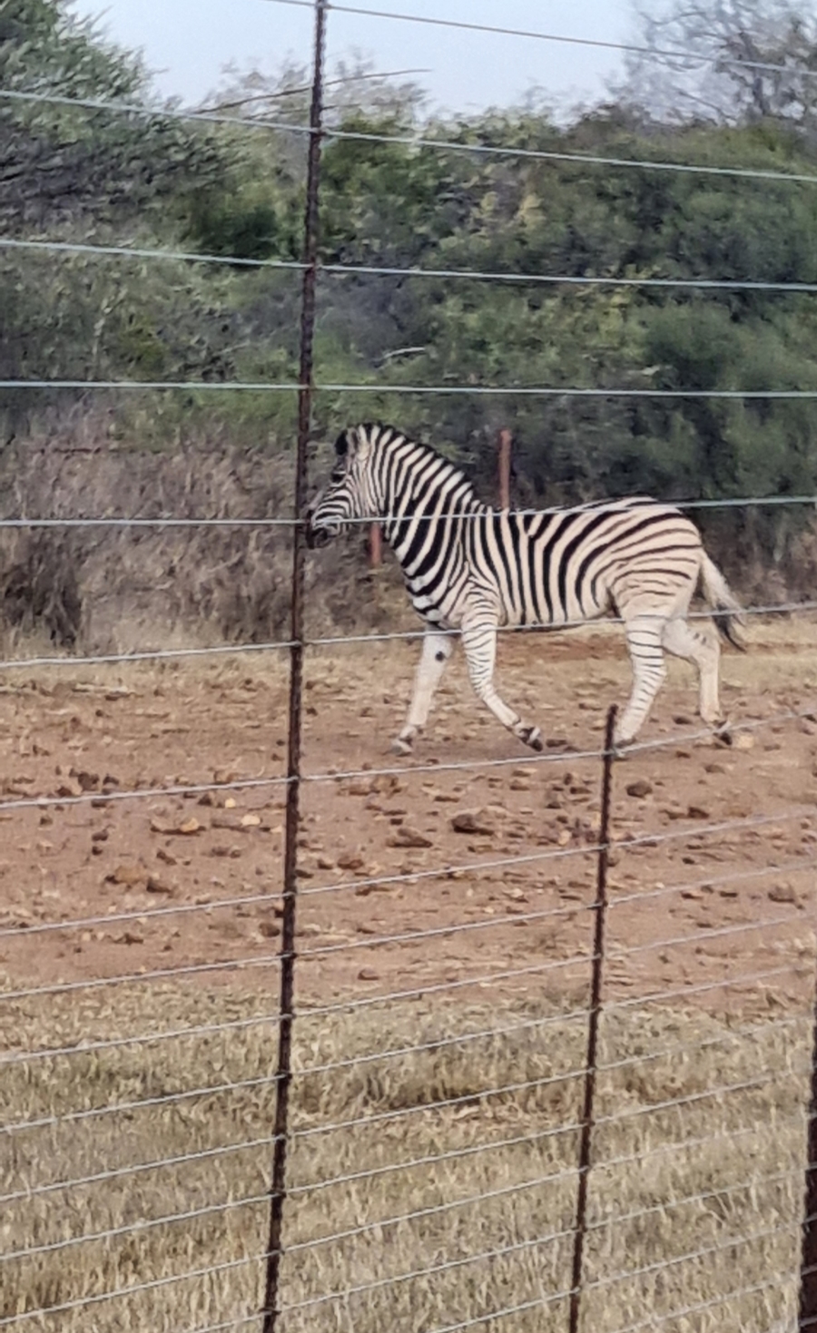 3 Bedroom Property for Sale in Koster North West